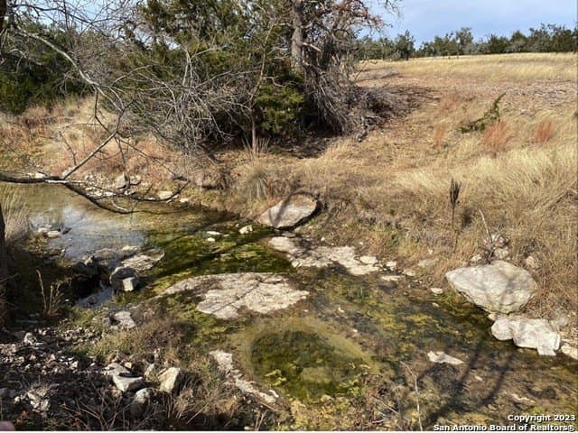 31.63 acres in Gillespie County - photo 4
