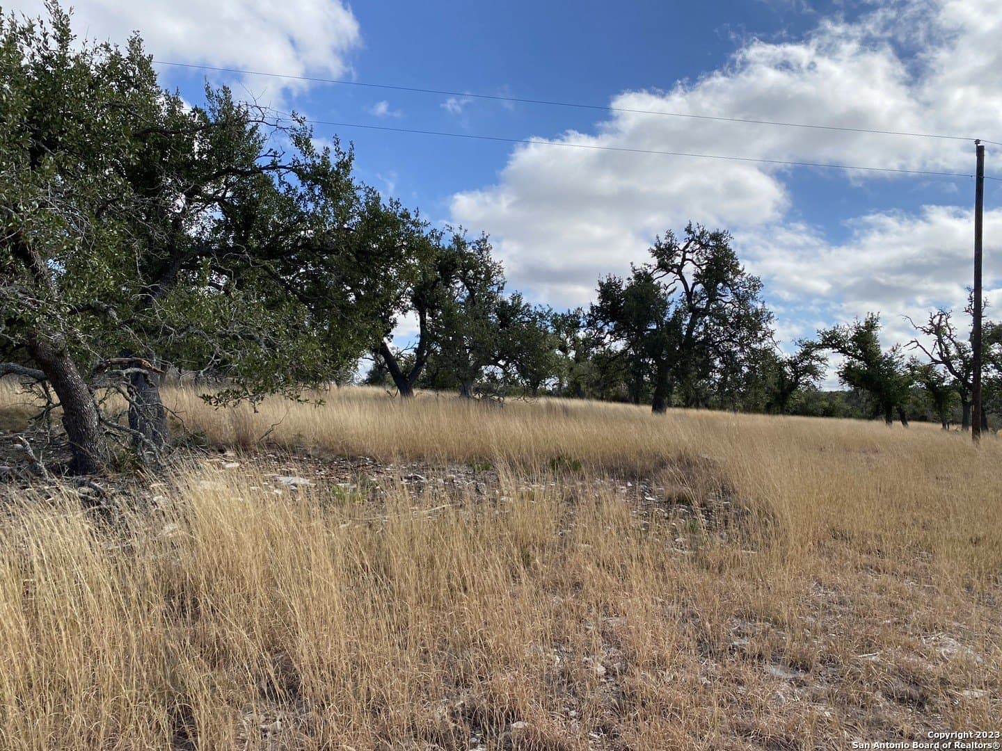31.63 acres in Gillespie County - photo 5