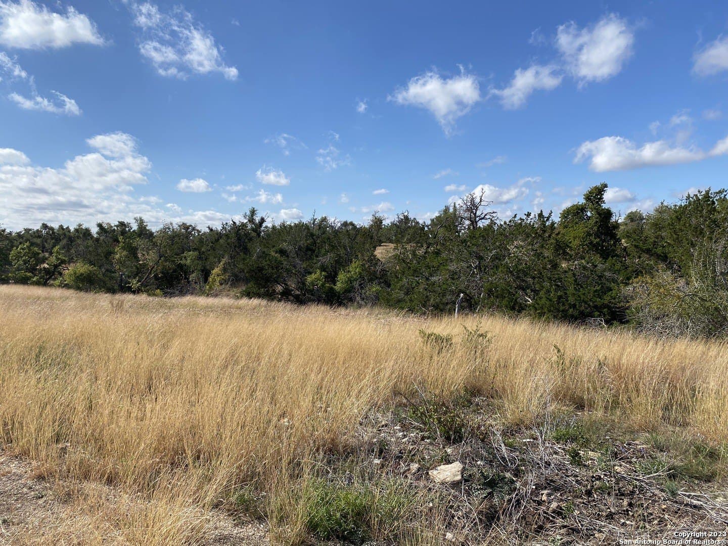 31.63 acres in Gillespie County - photo 7