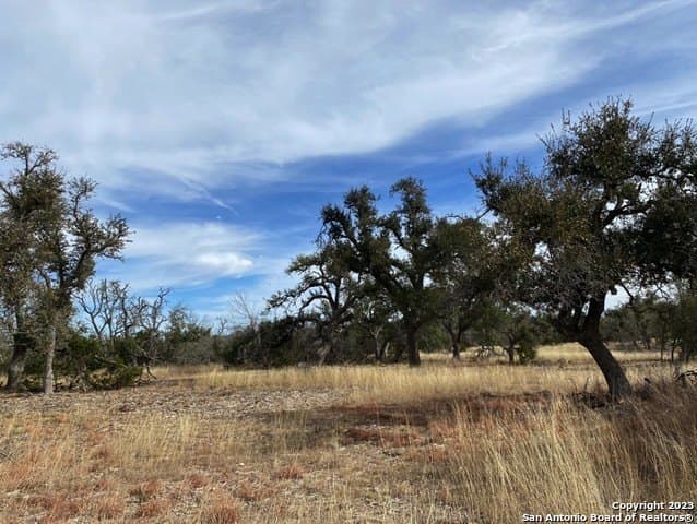 31.63 acres in Gillespie County - photo 9