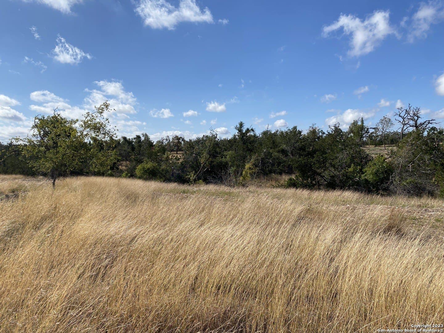 31.63 acres in Gillespie County - photo 8