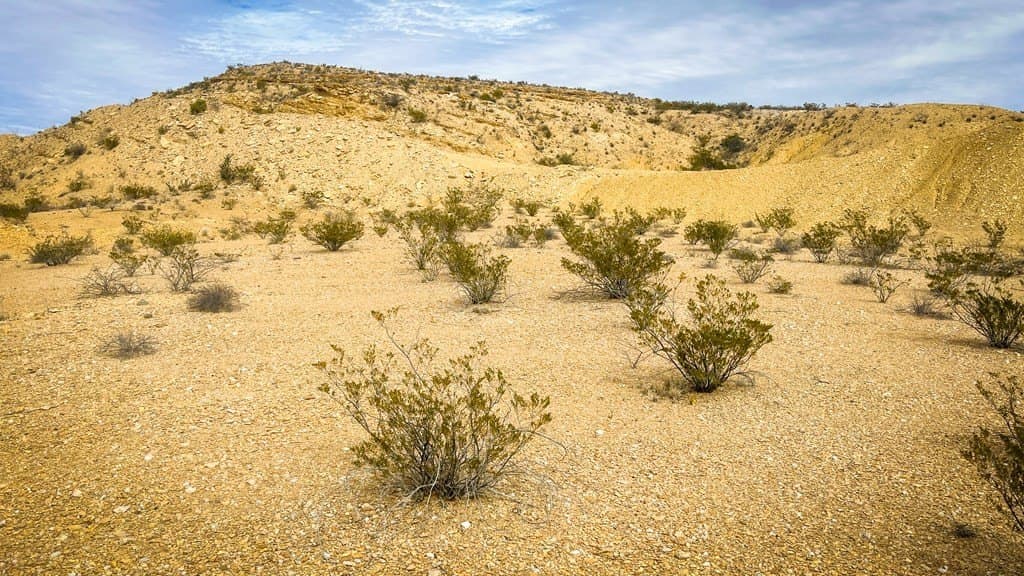 5 acres in Brewster County - photo 7