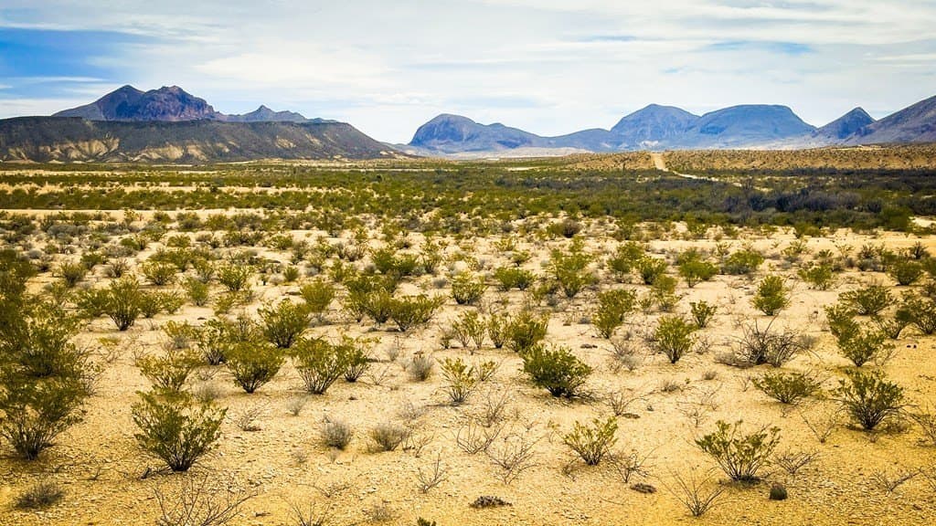 5 acres in Brewster County - photo 2