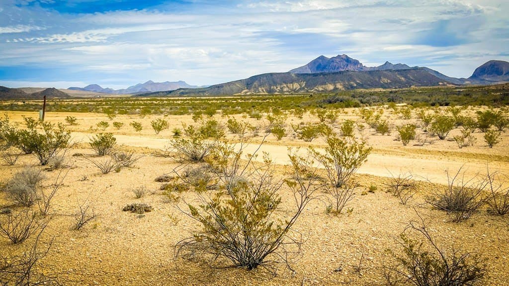 5 acres in Brewster County - photo 3