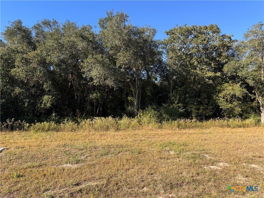 7.38 acres in Victoria County - photo 2