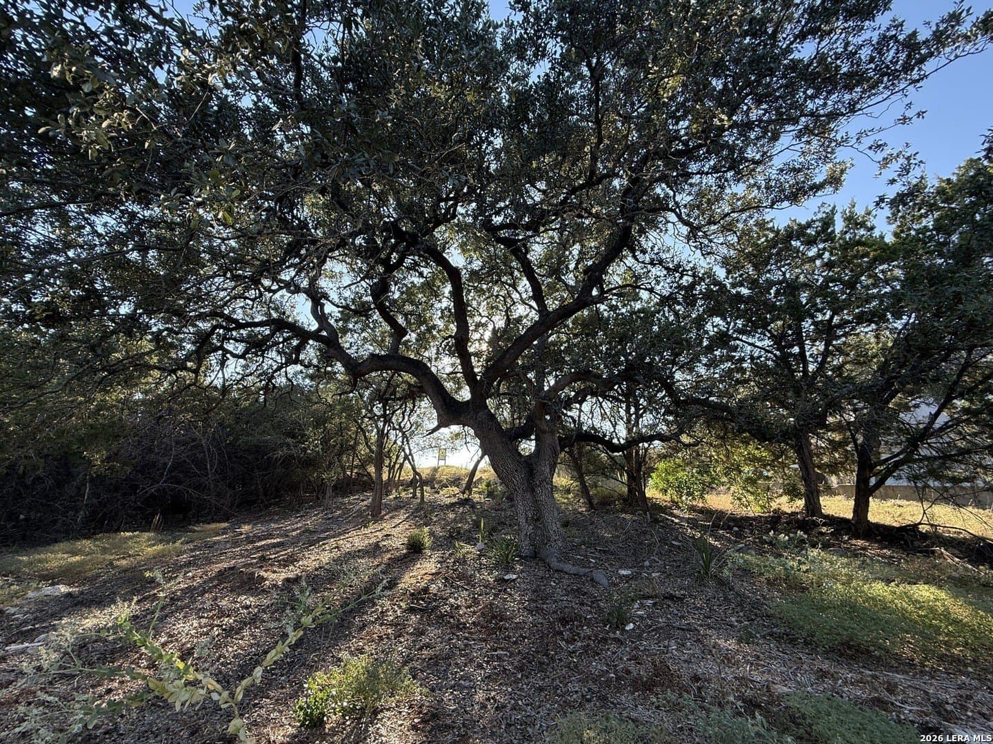 0.52 acres in Bexar County - photo 2