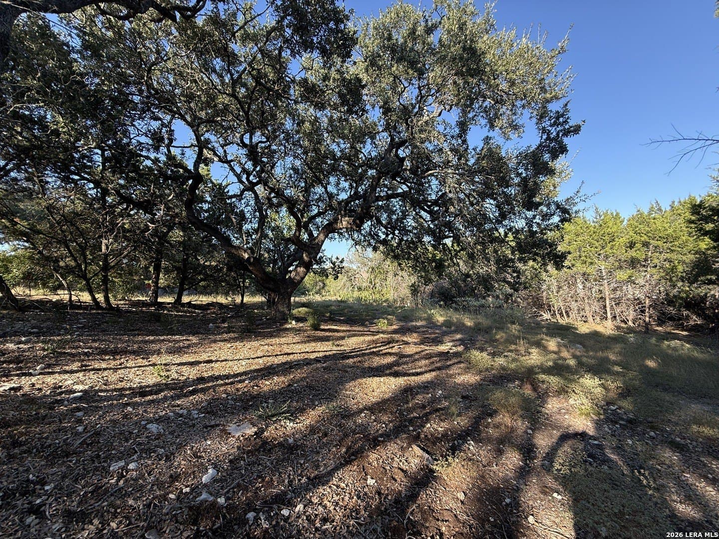 0.52 acres in Bexar County - photo 5