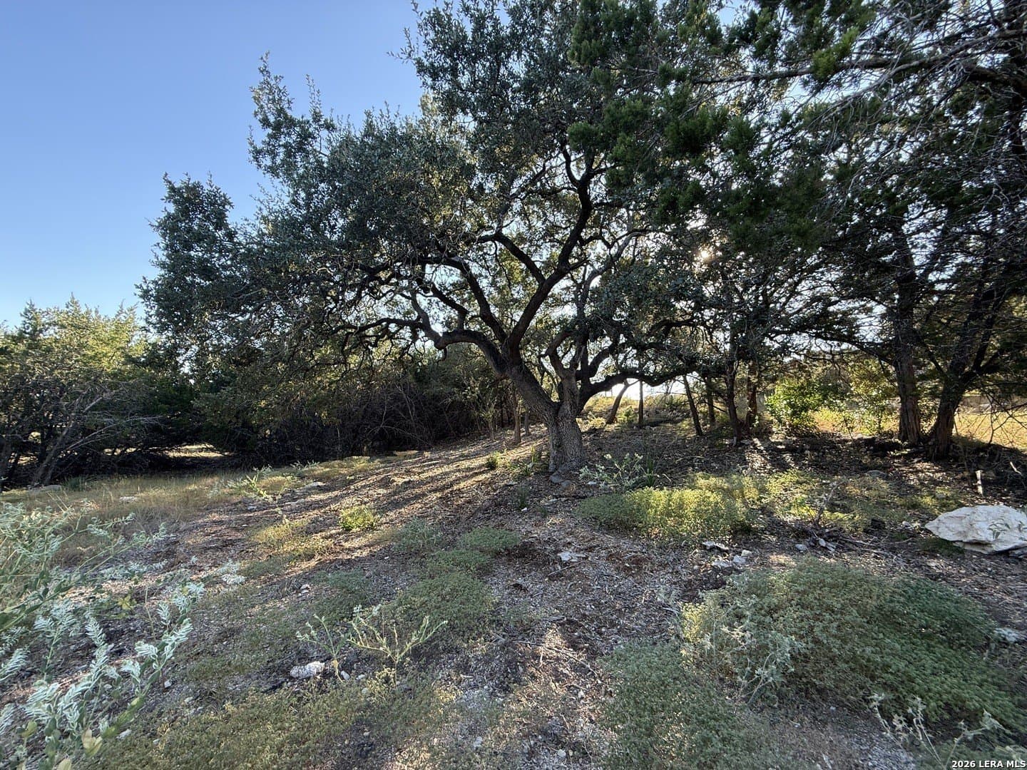 0.52 acres in Bexar County - photo 3