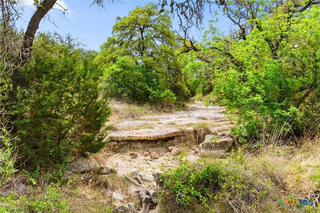 7.01 acres in Blanco County - photo 7