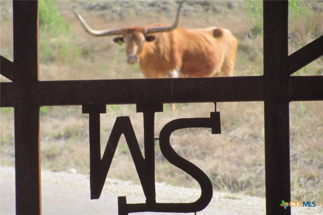 7.01 acres in Blanco County - photo 28