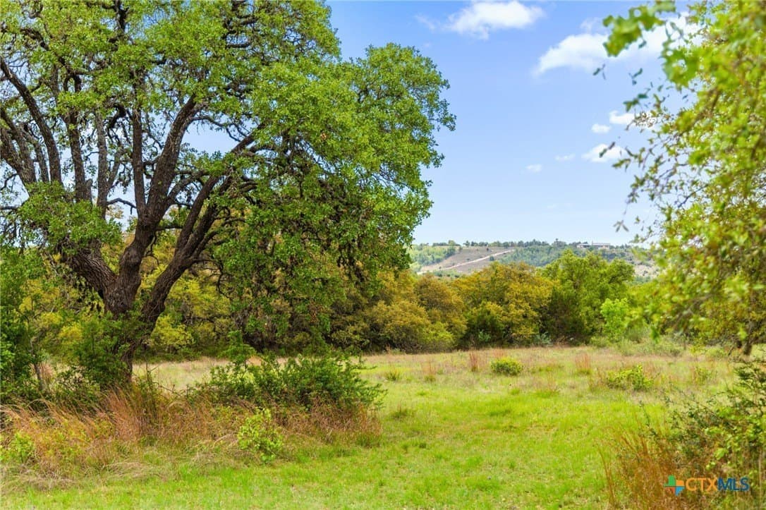 7.01 acres in Blanco County - photo 5
