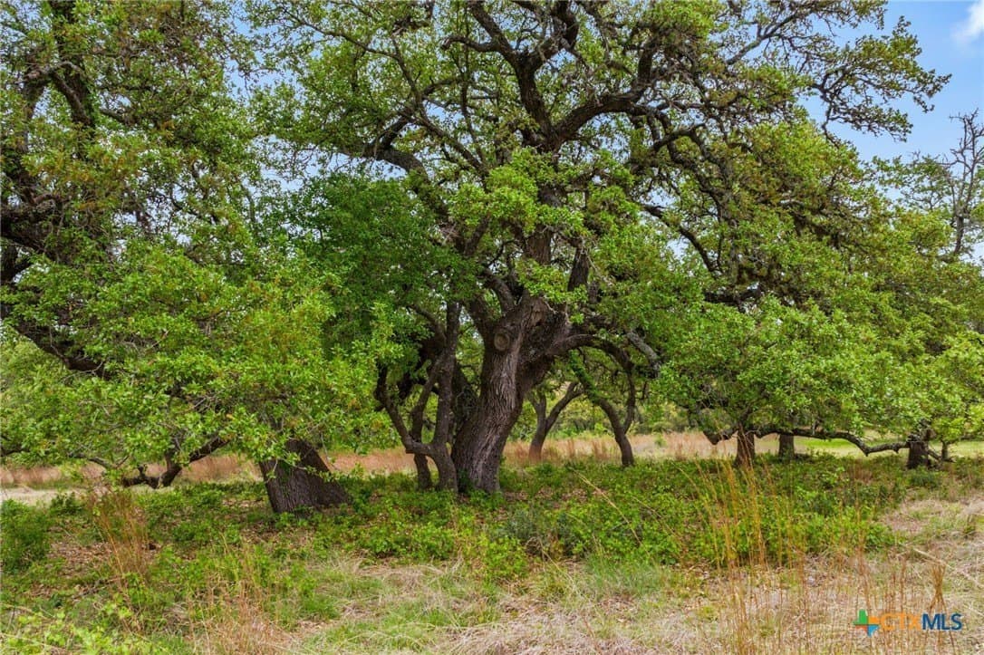 7.01 acres in Blanco County - photo 22