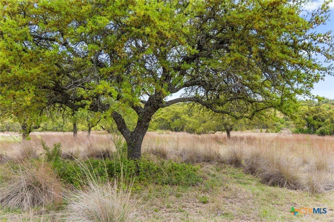 7.01 acres in Blanco County - photo 20
