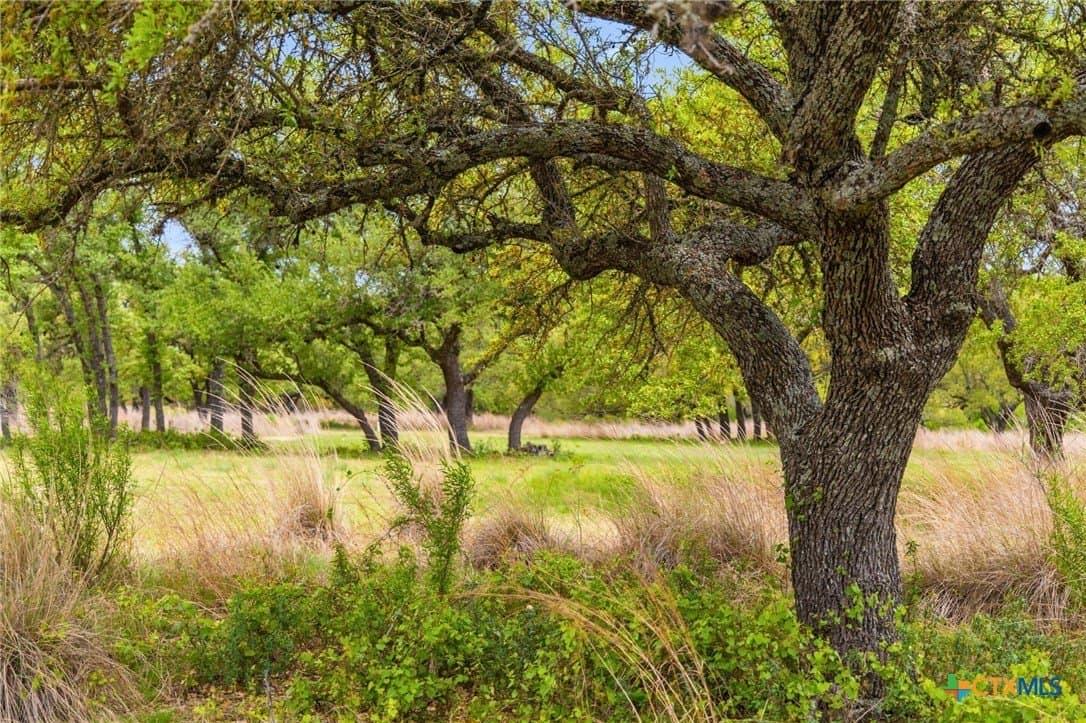 7.01 acres in Blanco County - photo 6