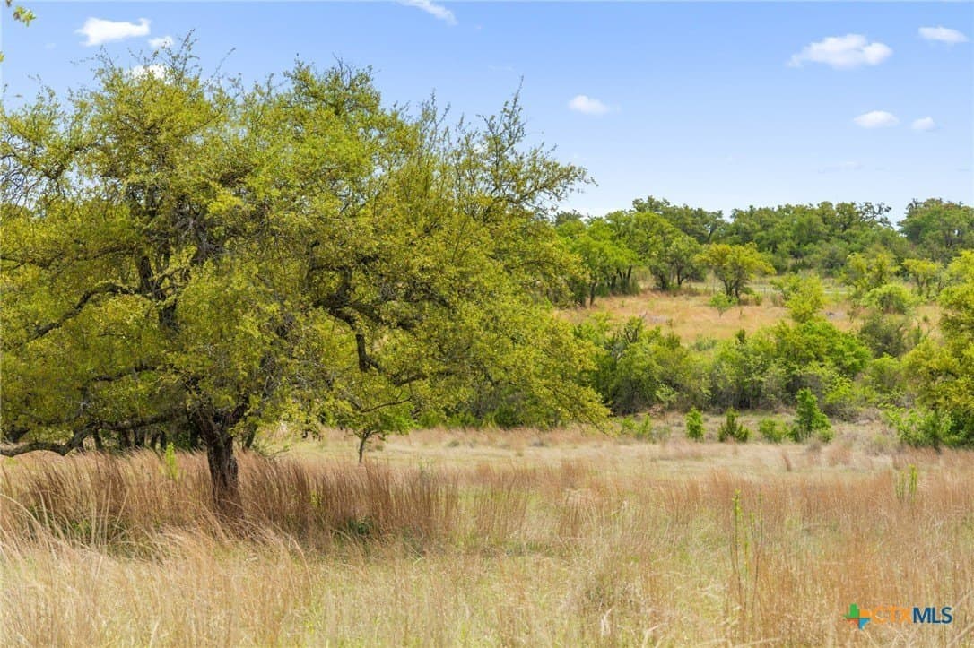 7.01 acres in Blanco County - photo 17