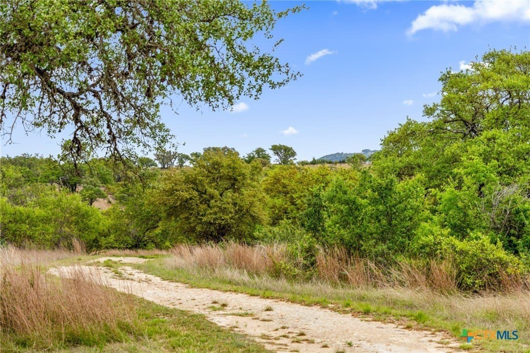 7.01 acres in Blanco County - photo 16