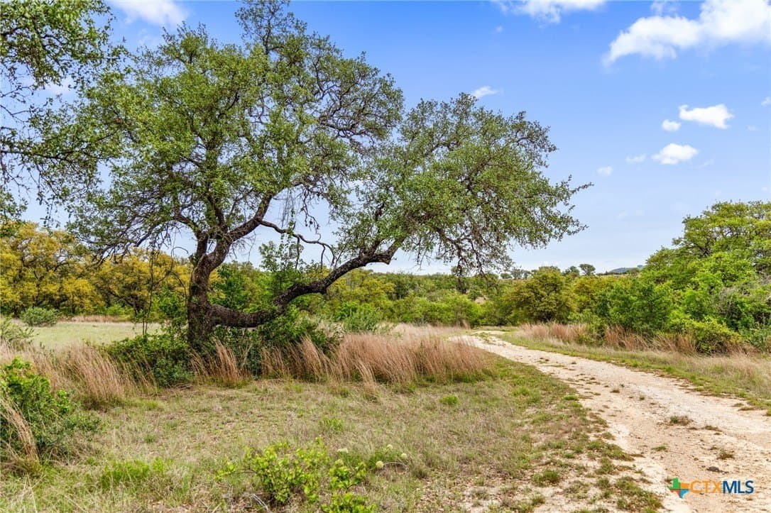 7.01 acres in Blanco County - photo 21