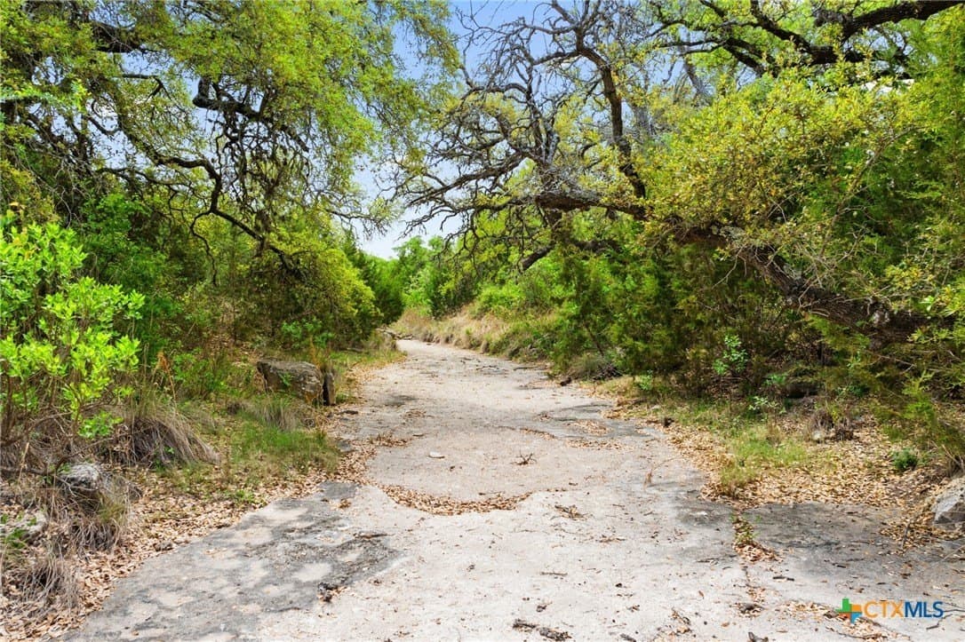 7.01 acres in Blanco County - photo 23