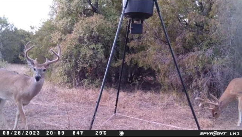 18.74 acres in Palo Pinto County - photo 16