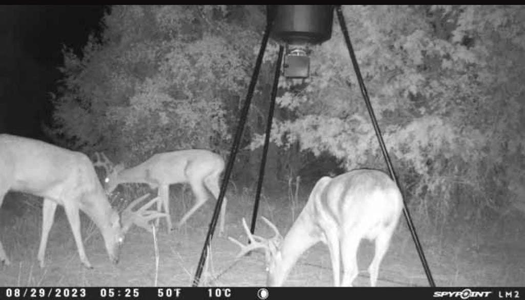 18.74 acres in Palo Pinto County - photo 15