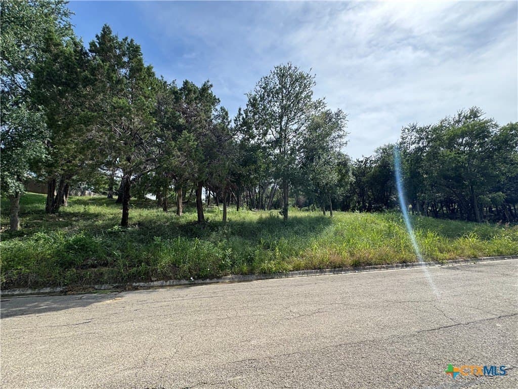 0.33 acres in Bell County - photo 2
