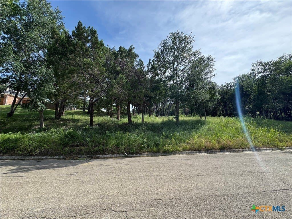 3611 White Oak Drive lot: 5