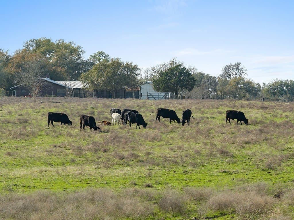 63.47 acres in Fayette County - photo 11
