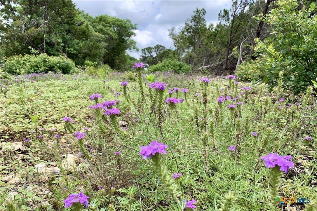 4.14 acres in Burnet County - photo 7