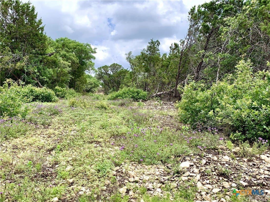 4.14 acres in Burnet County - photo 6