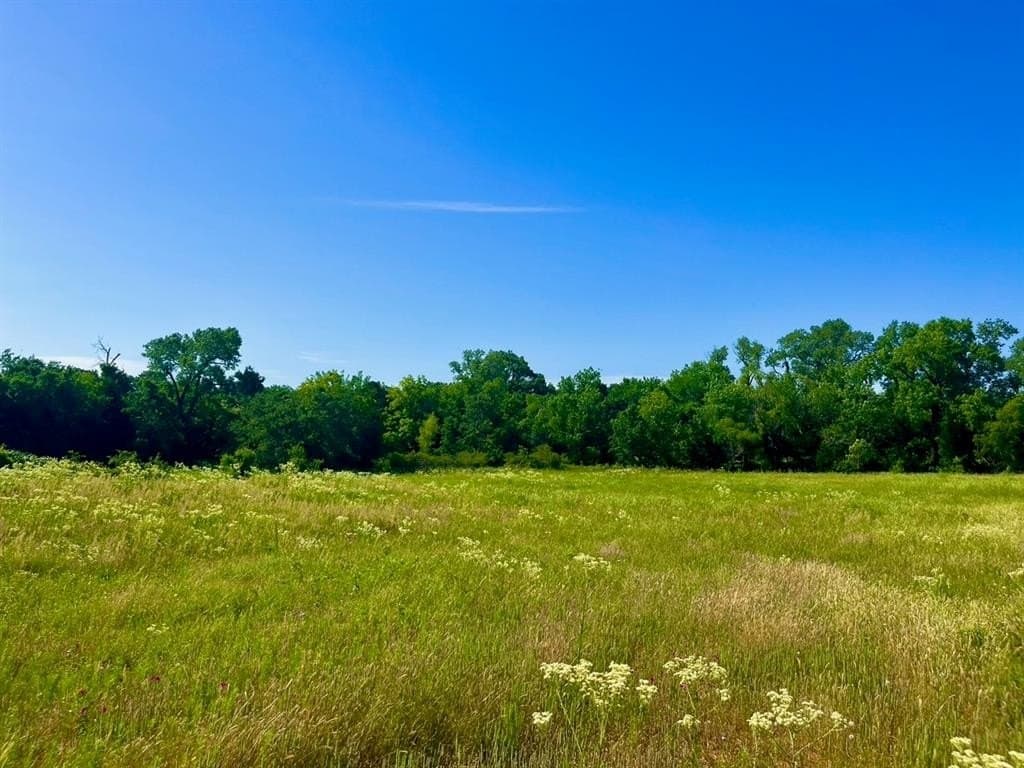 2 acres in Parker County - photo 3