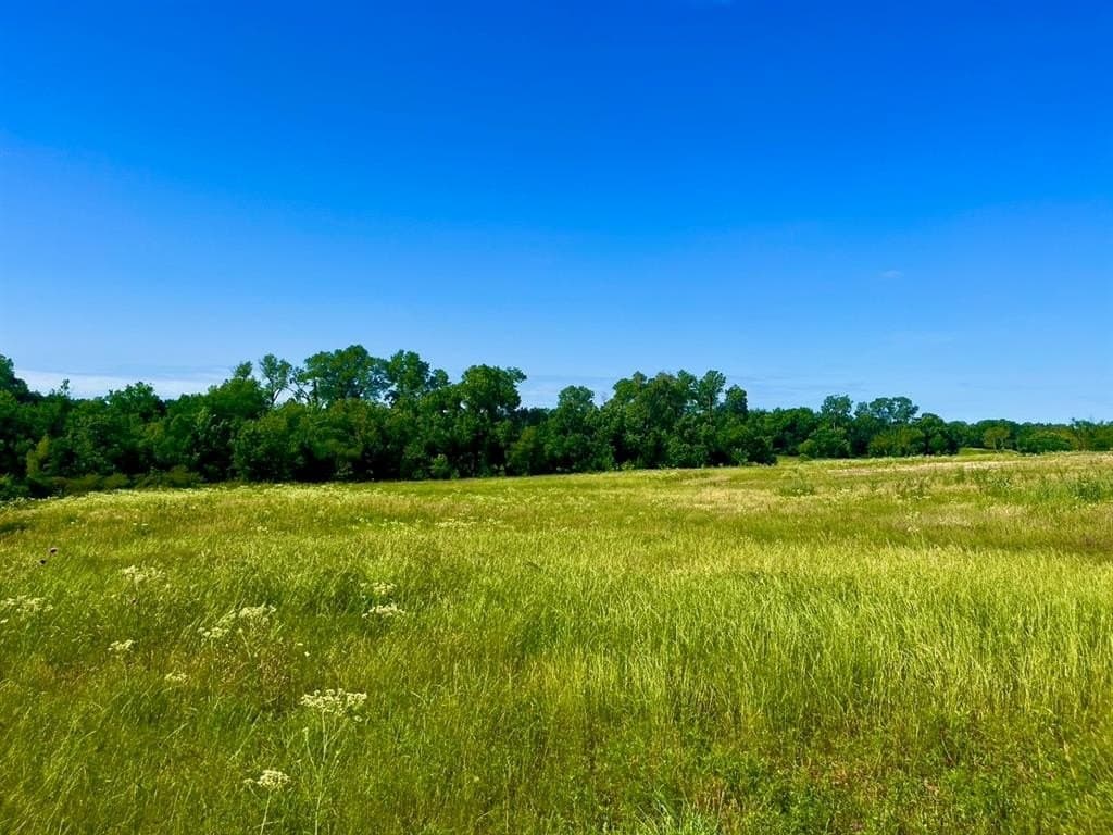 2 acres in Parker County - photo 5