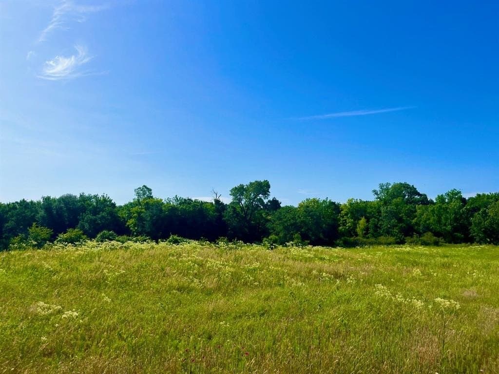 2 acres in Parker County - photo 2