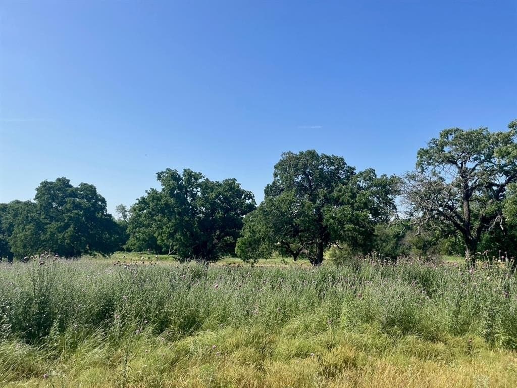 2 acres in Parker County - photo 4