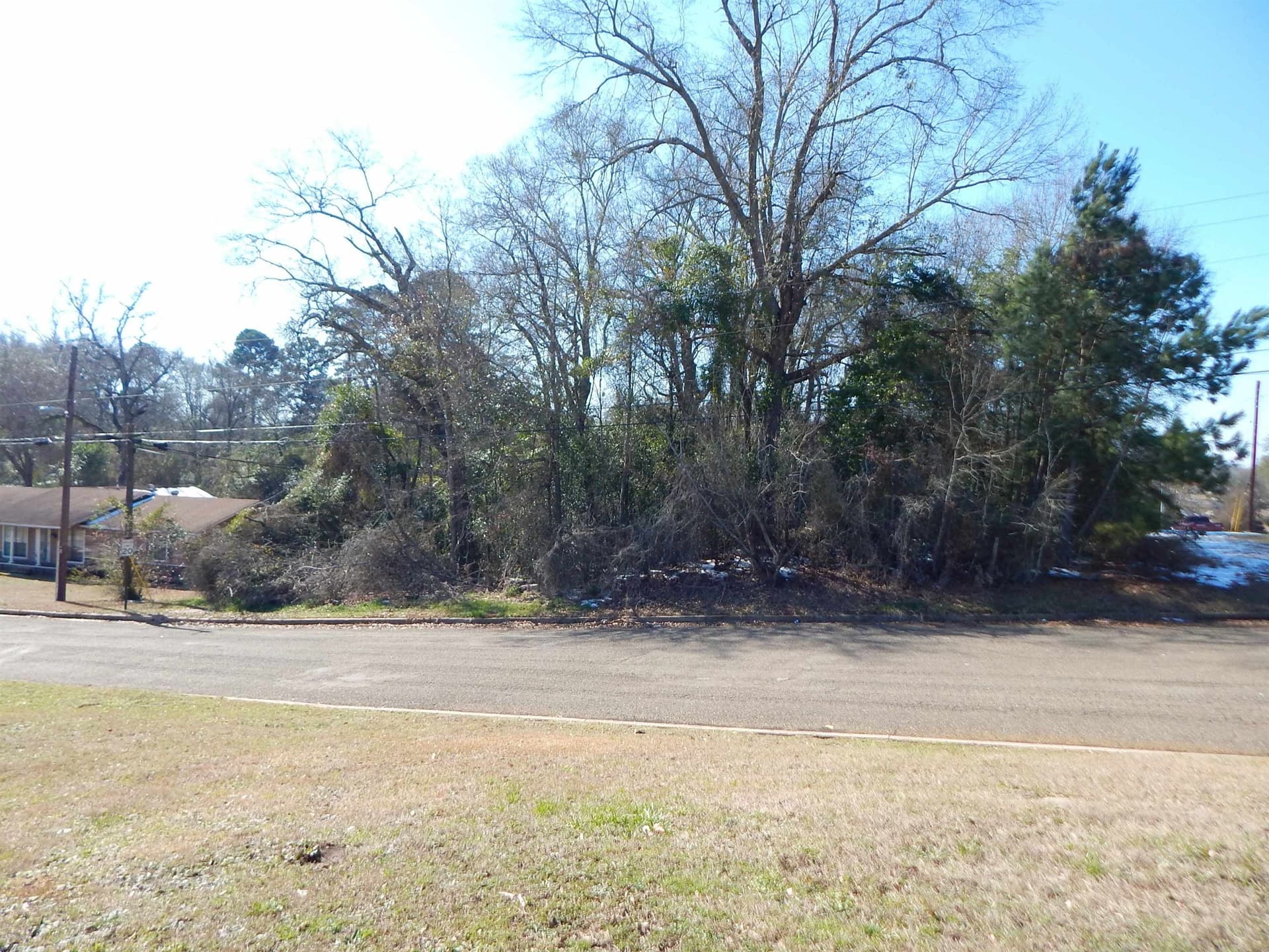 0.3 acres in Upshur County - photo 2