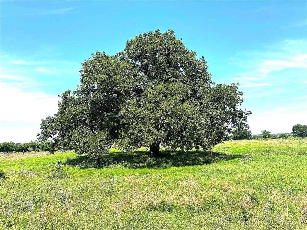 40 acres in Comanche County - photo 12