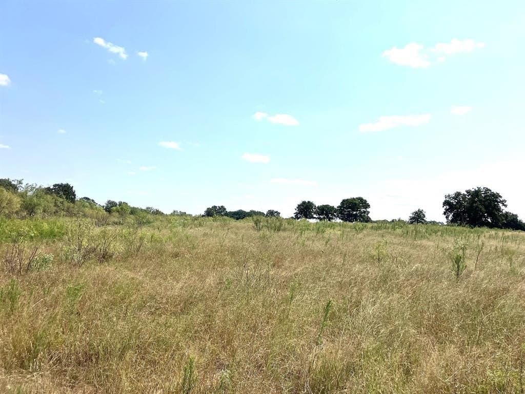 40 acres in Comanche County - photo 16