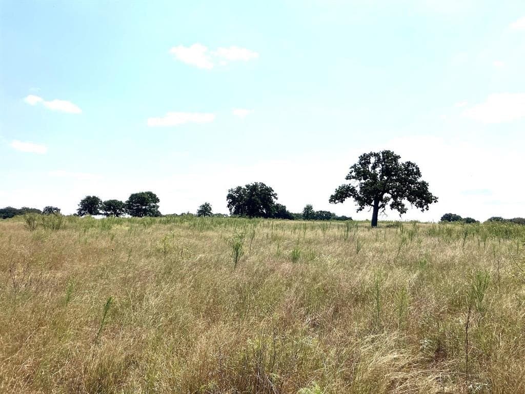 40 acres in Comanche County - photo 11