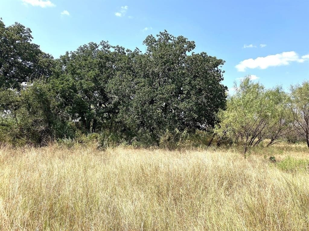 40 acres in Comanche County - photo 3