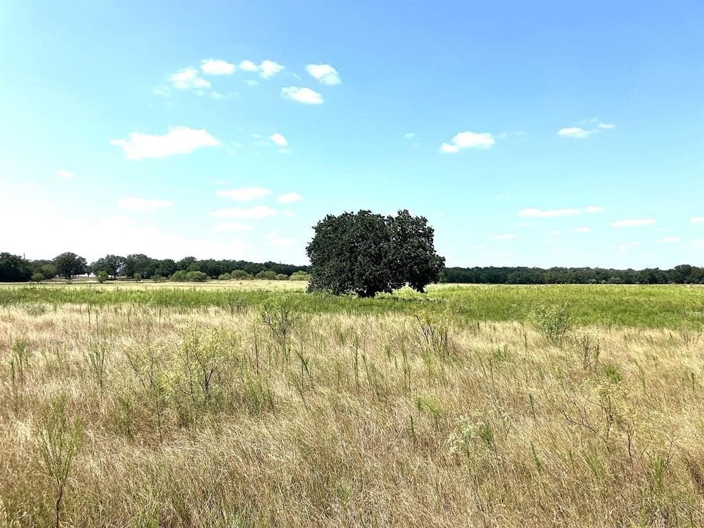 40 acres in Comanche County - photo 5