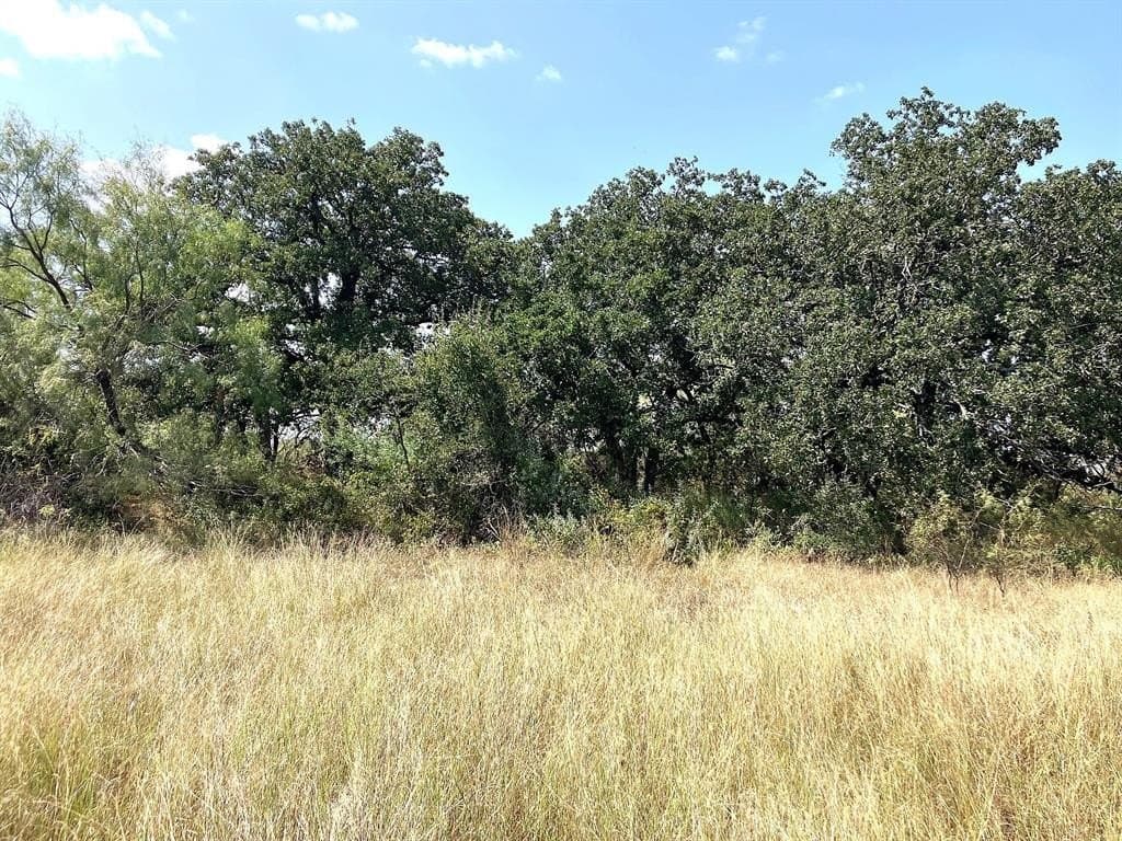 40 acres in Comanche County - photo 10