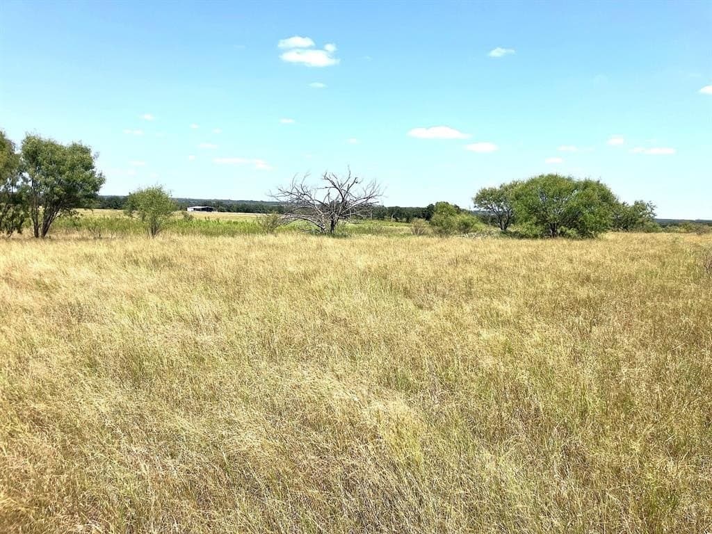40 acres in Comanche County - photo 15