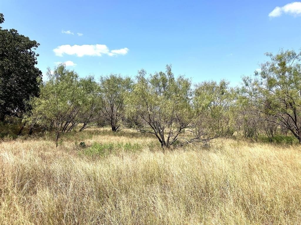 40 acres in Comanche County - photo 9