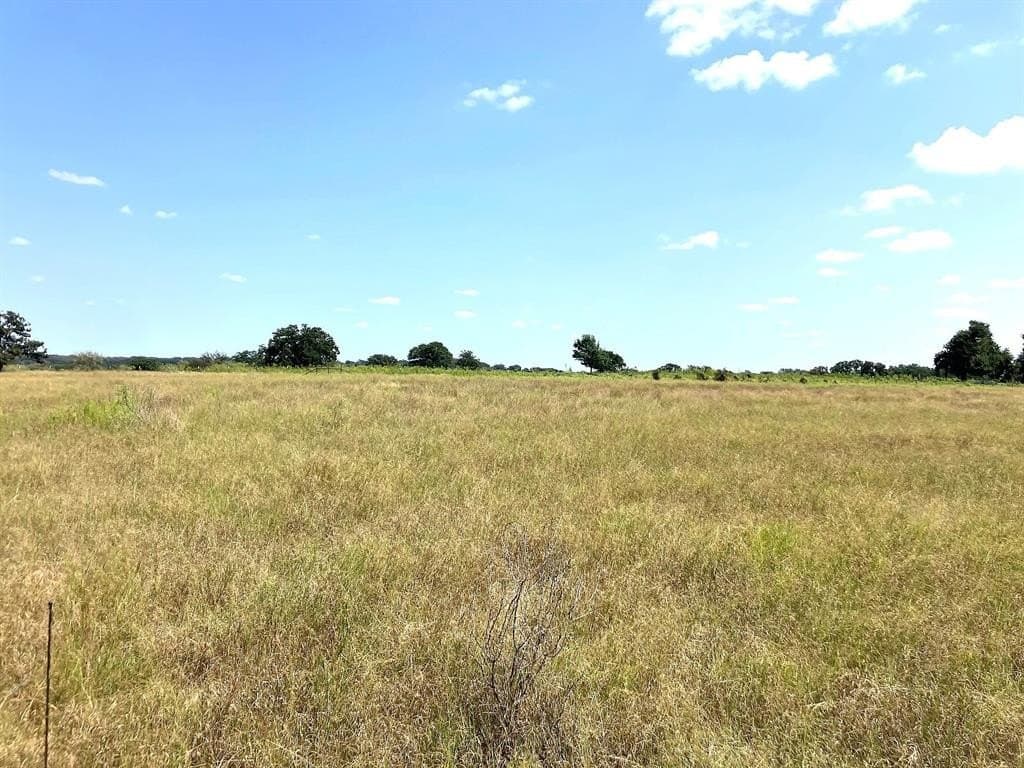 40 acres in Comanche County - photo 4