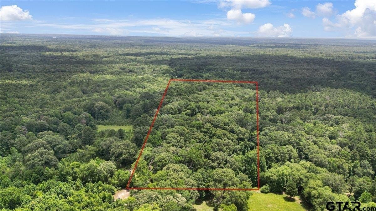 20 acres in Wood County - photo 4
