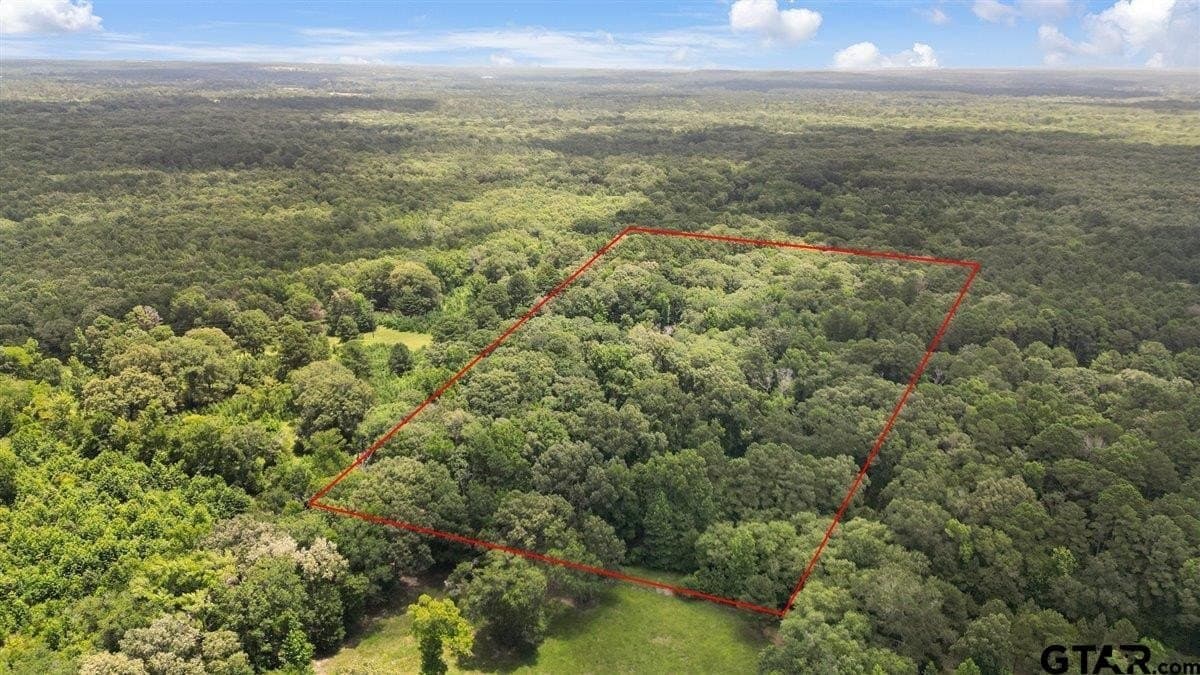 20 acres in Wood County - photo 5