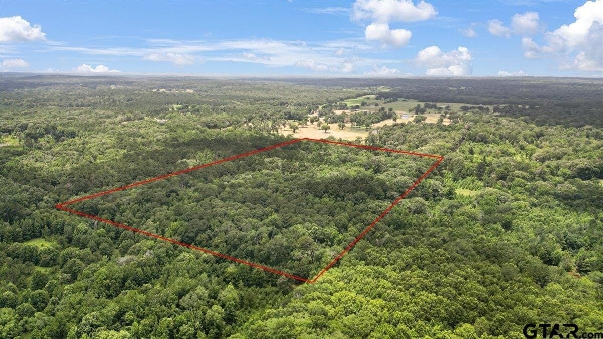 20 acres in Wood County - photo 3