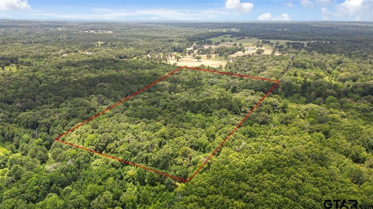 20 acres in Wood County - photo 2