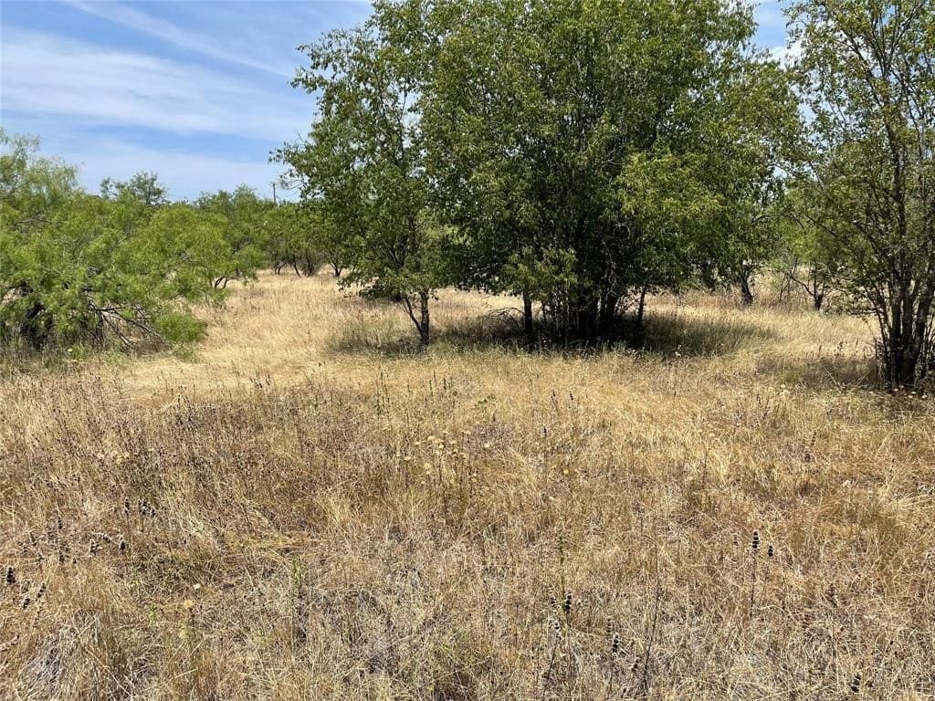 0.18 acres in Stephens County - photo 2