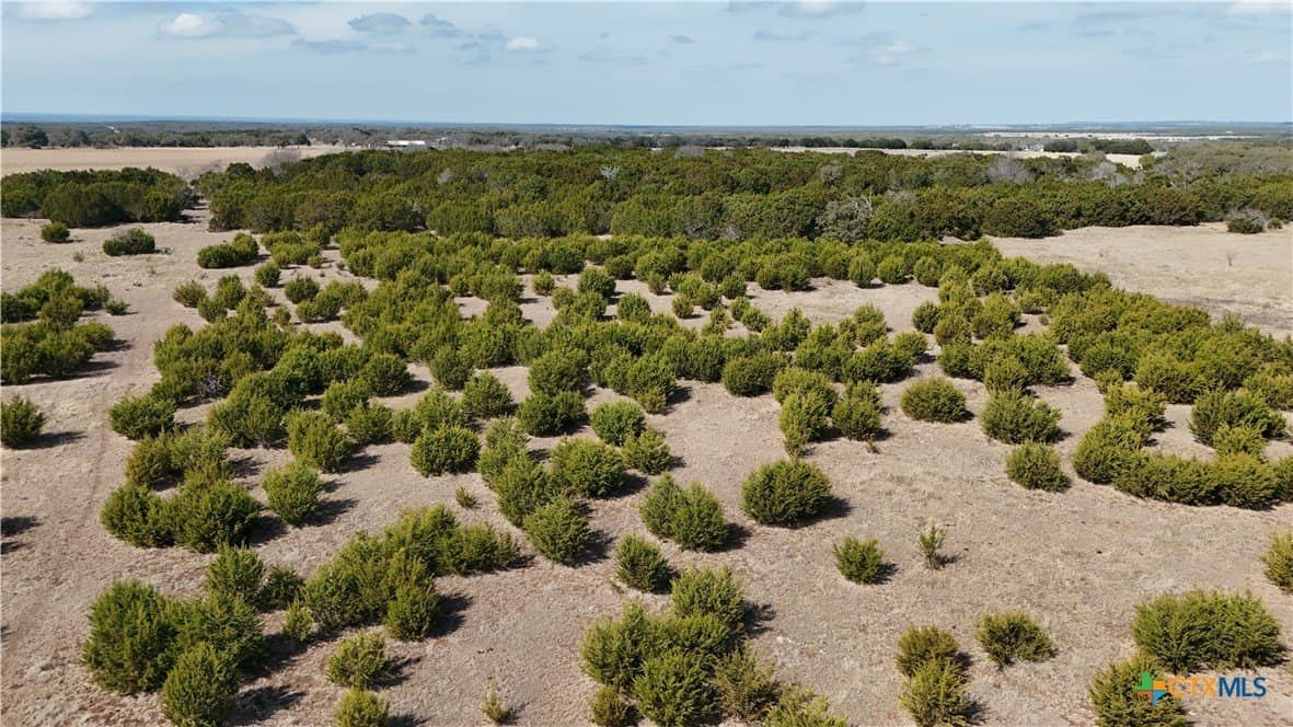 10 acres in Burnet County - photo 4
