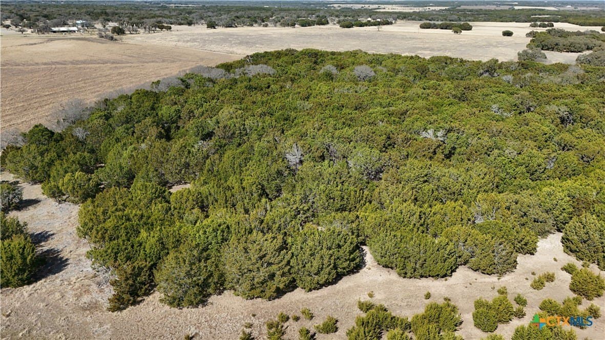 10 acres in Burnet County - photo 5